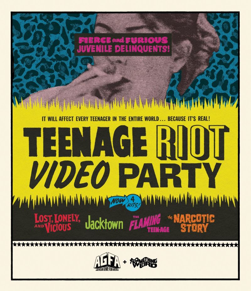 TEENAGE RIOT VIDEO PARTY cover art