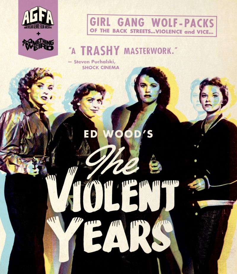 THE VIOLENT YEARS cover art