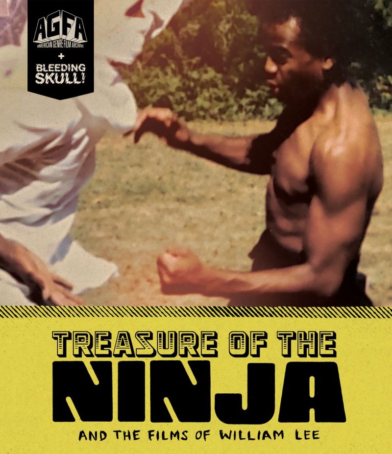TREASURE OF THE NINJA AND THE FILMS OF WILLIAM LEE cover art