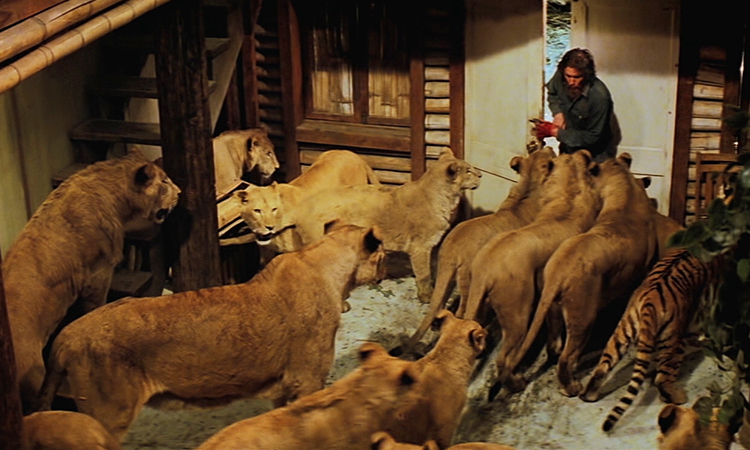 Still from ROAR