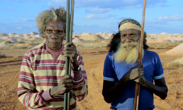 Still from WHERE THE GREEN ANTS DREAM