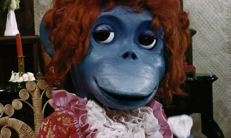 Still from THE RARE BLUE APES OF CANNIBAL ISLE
