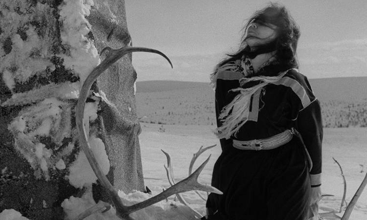 Still from WHITE REINDEER