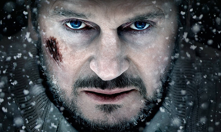 Still from THE GREY