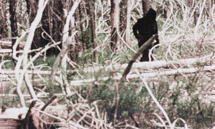 American Genre Film Archive The Legend Of Bigfoot