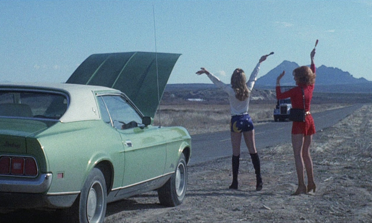 Adventures in Movies: Truck Stop Women/Free Fall - Morbidly Beautiful