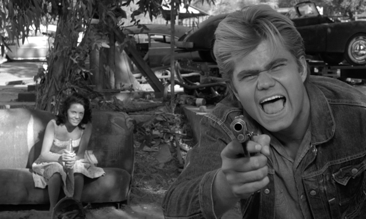 American Genre Film Archive TRUE CRIME TRIPLE RIPPER